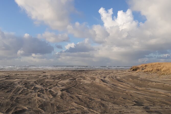 Private Pacific Ocean Beach Experience - About Your Stay