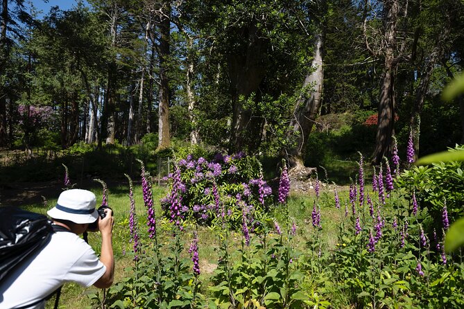 Private Photography Tour in Kenmare - Key Points