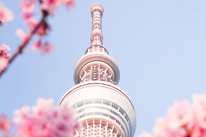 Private Round Trip Transfer From Haneda/Narita Airport to Tokyo. - Good To Know