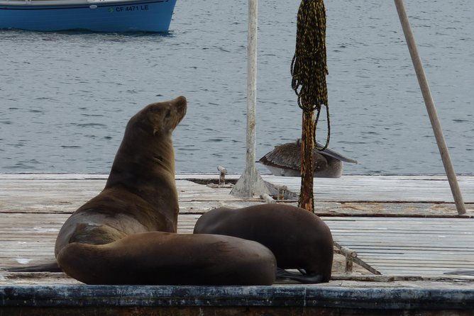 Private Sailing Tour Review: A Coastal Adventure - Overview of the Tour