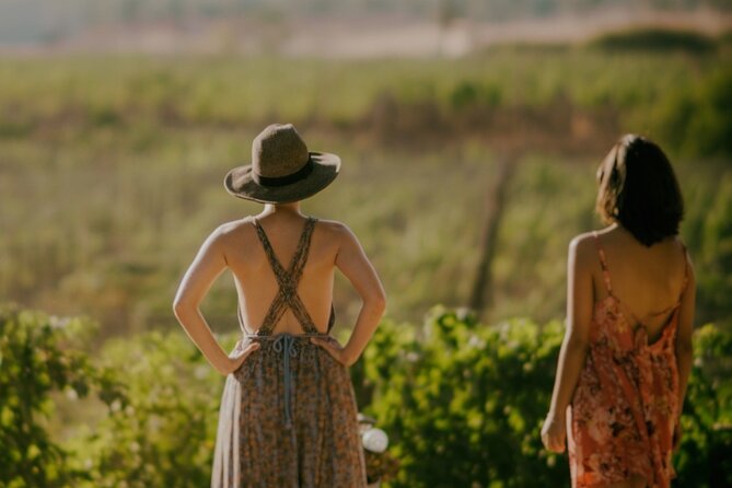 Private Santa Ynez Valley Wine Tasting Tour for up to 4 Guests - Key Points