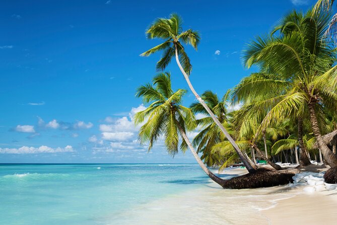 Private Saona Island Catamaran Tour From Punta Cana