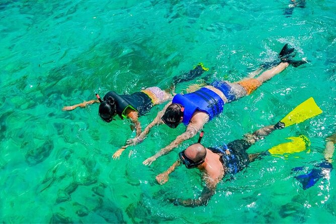 Private Saona Island & Palmilla Beach Tour - Snorkelling and Inshore Fishing - Key Points