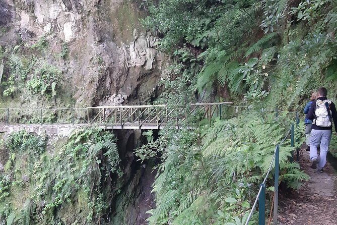 Private Service VIP Levada Dos Cedros – Fanal Walk - Key Points