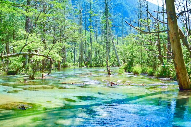 Private Shinhotaka Ropeway and Kamikochi Tour - Key Points