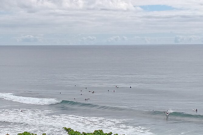 Private Shore Excursion Hilo Review - Good To Know