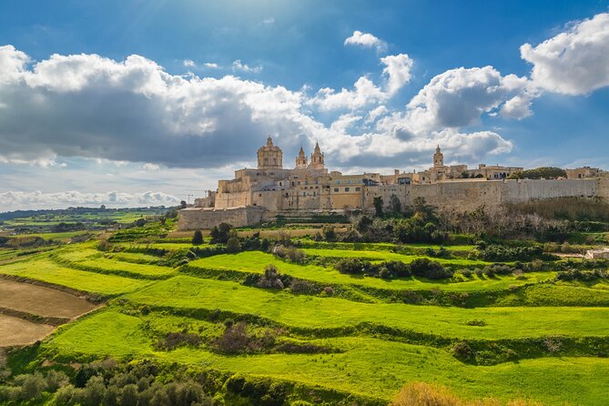 Private Shore Excursion of Malta Including Mdina and Valletta - Key Points