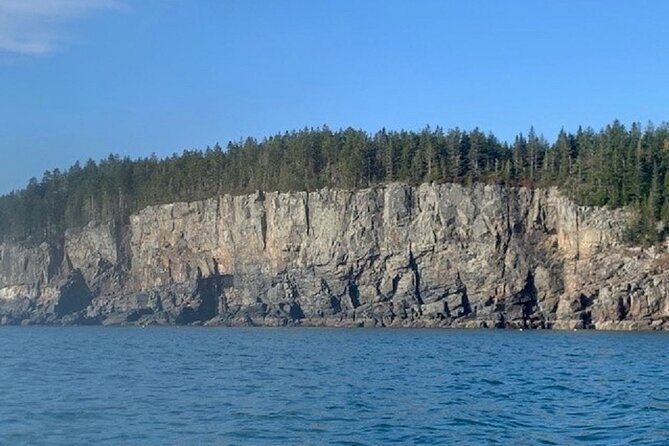 Private Sightseeing Charter in Frenchman Bay Review - Overview of the Tour