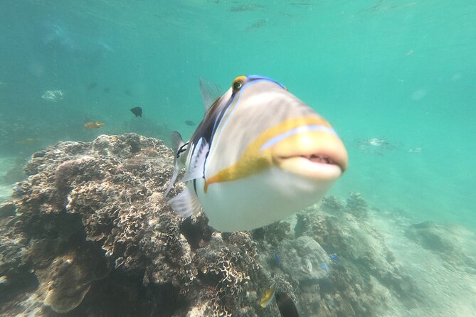 Private Snorkeling in Okinawa With Tropical Fish and Rock Pools - Snorkeling Amenities Included
