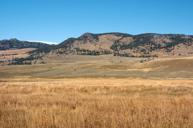 Private Sunrise Wildlife Adventure Review - Tour Overview