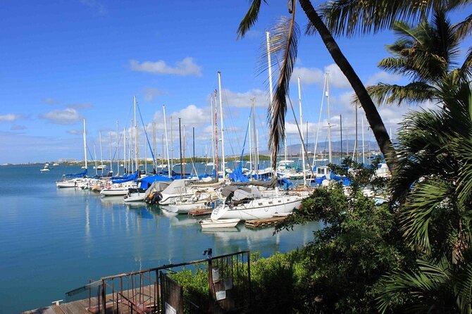 Private Tiki Bar Sunset Cruise in Honolulu - Overview of the Experience