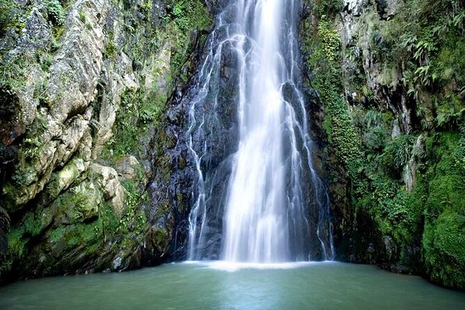 Private Tour in Constanza Dominican Republic for 15 People - Key Points