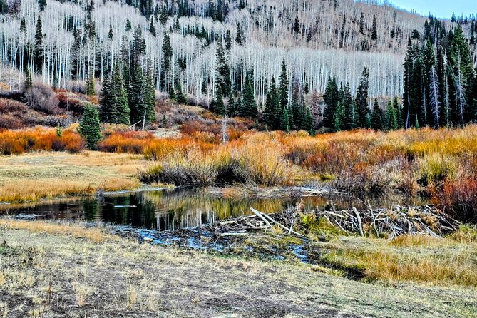 Private Tour in Heber Valley Review - Good To Know