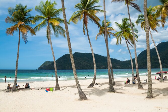 Private Tour Maracas Beach From Port of Spain - Key Points