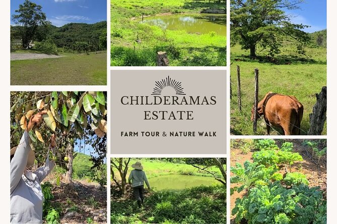 Private Tour of Childermas Estate: A Female-Owned Working Farm - Key Points