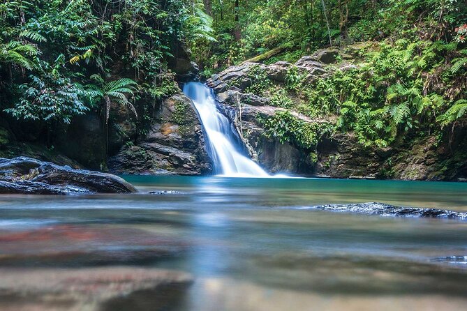 Private Tour Paria Waterfall From Port of Spain - Key Points