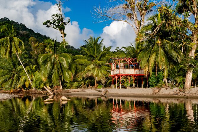 Private Tour Rainforest From Tobago - Tour Overview