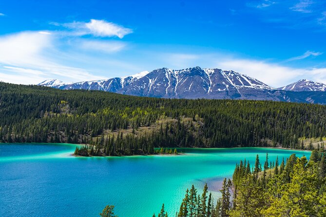 Private Tour Skagway City & Summit Review - Tour Overview