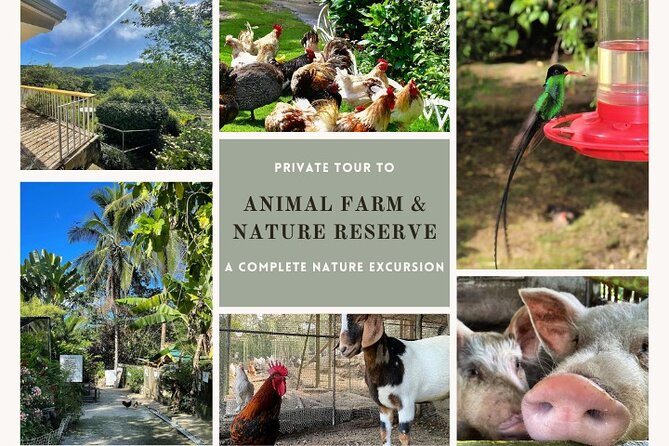 Private Tour to Animal Farm & Nature Reserve - Key Points