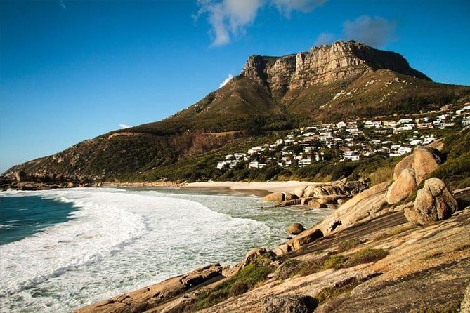 Private Transfer: CPT Airport to Cape Town in Luxury Van - Overview of Private Transfer