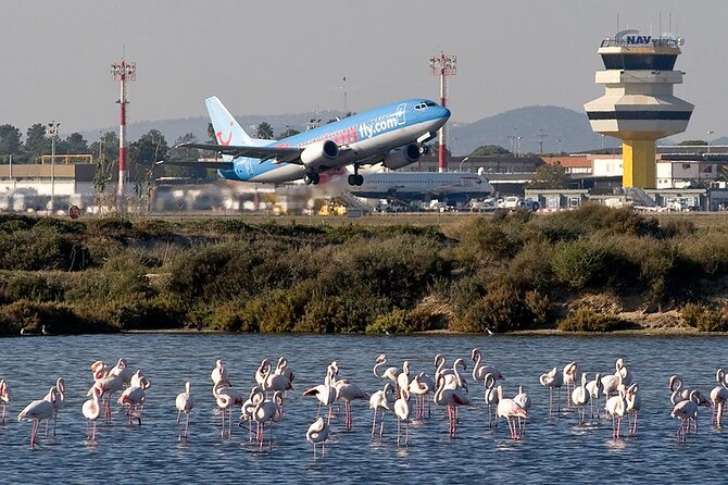 Private Transfer From Faro Airport to Albufeira - Key Points