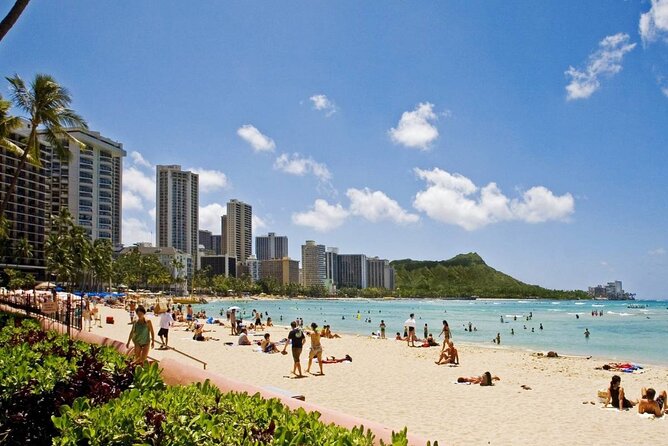 Private Transfer: Honolulu Airport Review - Good To Know