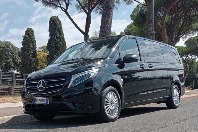 Private Transport From Fiumicino Airport to Ischia Island - Key Points