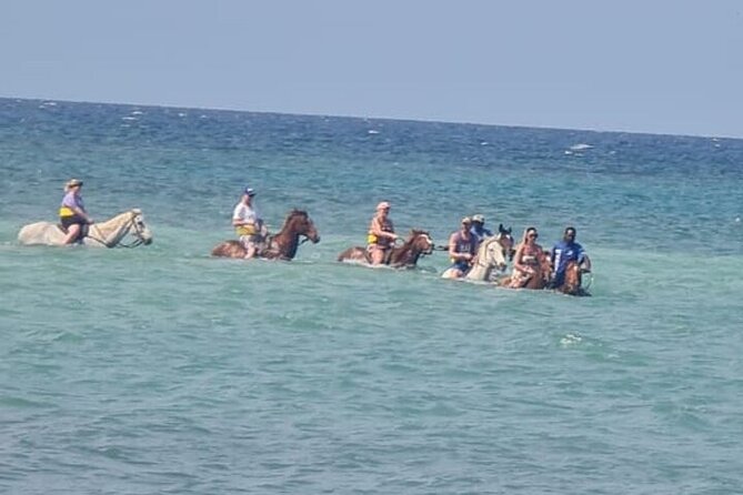 Private Transport to Horseback & ATV With Extra Stops(Ricks Café) - Key Points