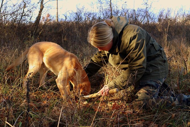 Private Truffle Hunting in Slovenia With Meal - Zdenko Tartufi - Key Points