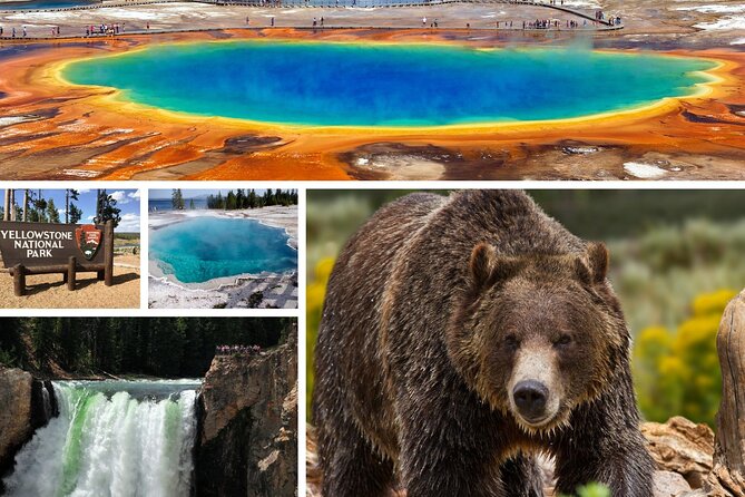 Private Upper Loop Tour of Yellowstone National Park - Good To Know