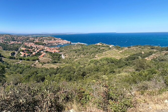 Private Walk In The Vineyards Of Collioure With Wine Tasting - Key Points
