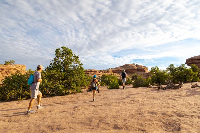 Private Western National Parks Tour Review - Tour Highlights