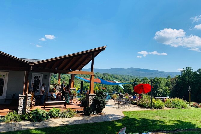 Private Wine Tour With Dine in Black Mountain From Asheville - Key Points