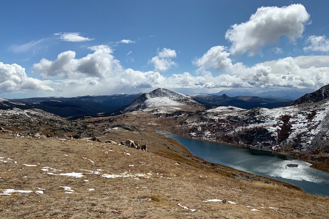 Private Yellowstone Wildlife Tour Review - Yellowstone Wildlife and Photo Tour Highlights