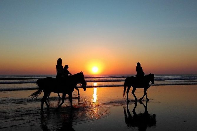 Puerto Plata: Sunset Beach Horseback Riding - Key Points