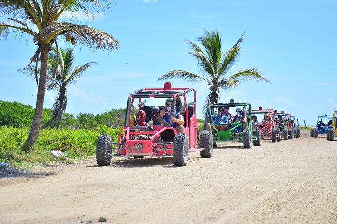 Punta Cana 4x4 Buggy Adventure - Key Points