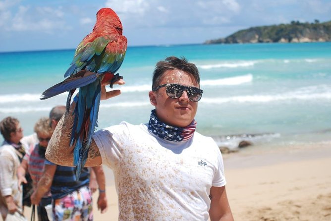 Punta Cana: Airport (PUJ) Shuttle To Hotel Round Trip - Key Points