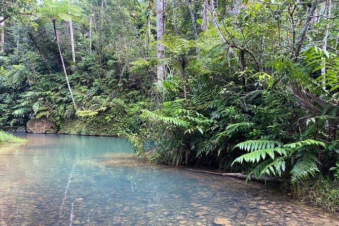 Rain Forest and Hot Springs Full-Day Private Tour San Juan - Key Points