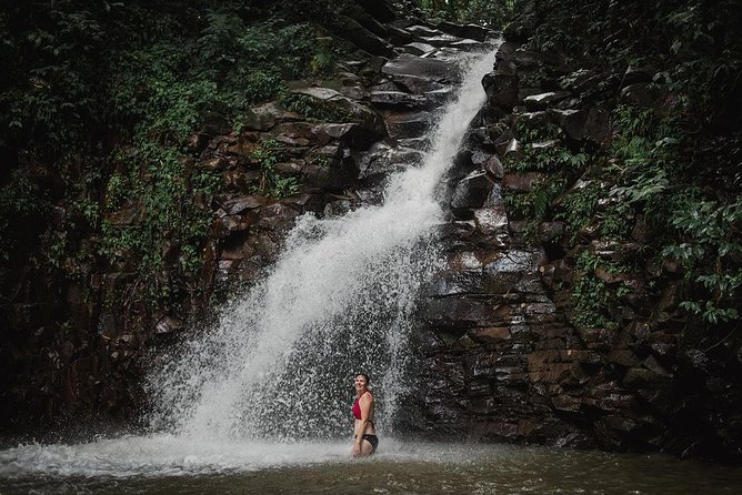Rainforest Bathing Tour - Key Points