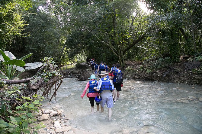 Rainforest Trek to Natural Pool - Taino Bay & Amber Cove Ports - Key Points