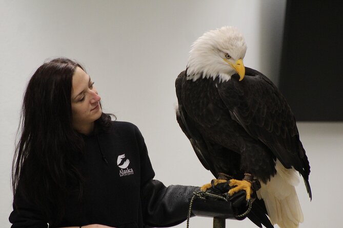 Raptor Encounters and Immersive Dome Experience Review - Overview of the Raptor Encounters and Immersive Dome Experience