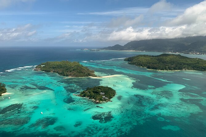 Reef Safari - Snorkeling, Fish Feeding & Lunch (Private Day Trip) - Key Points