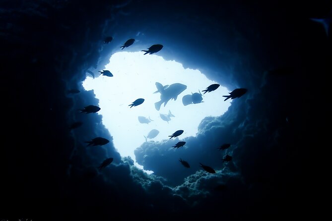 Refreshment Diving Course Experience in LEstartit - Course Overview