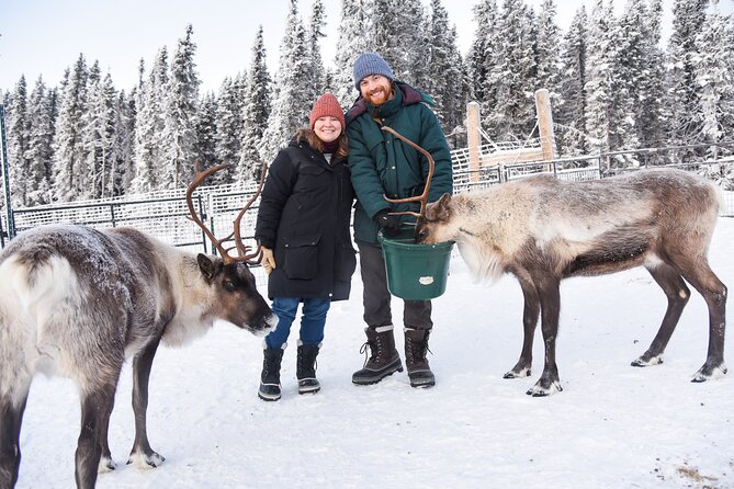 Reindeer and Heli Flightseeing Day Trip With Lunch - Key Points