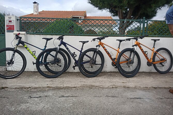 Rent a Bike Full Day From Coimbra - Key Points