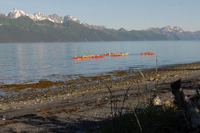 Resurrection Bay Kayaking Adventure - Good To Know