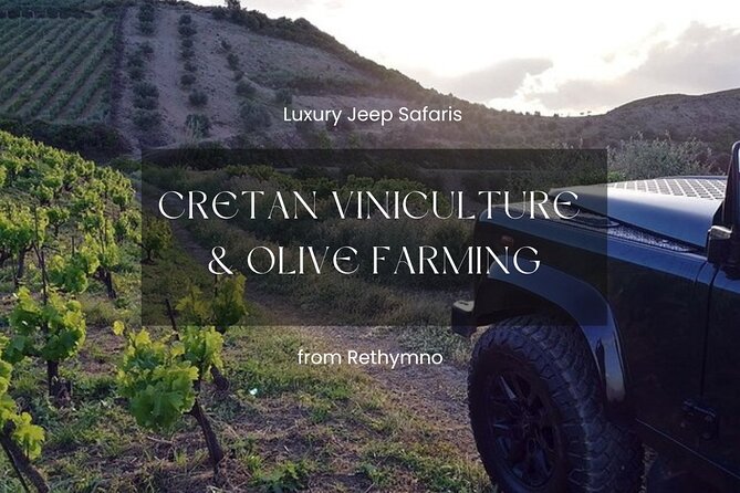 Rethymno Luxury Jeep Tour in Cretan Viniculture and Olive Farming - Key Points