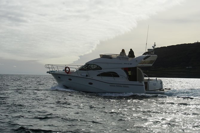 Rodman Motor Yacht Tour of Faial, Pico and São Jorge Islands - Key Points