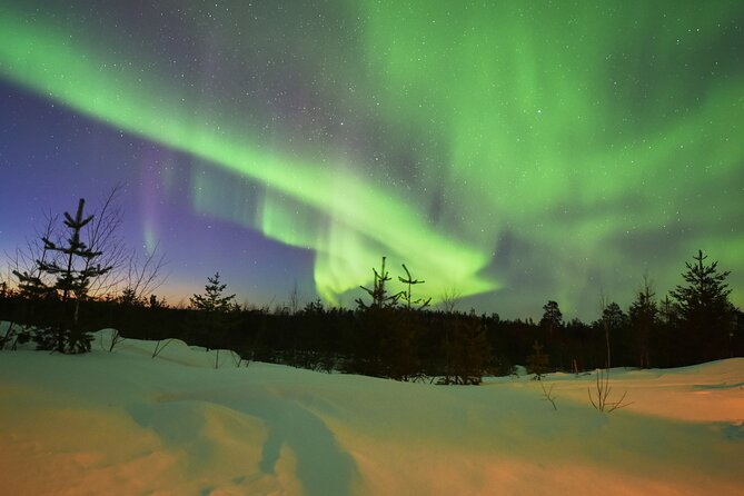 Rovaniemi: Private Aurora Hunting Tour - Key Points