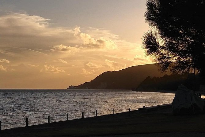 Safe Private Tour - Arrábida Sightseeing Tour - Exploring Arrábida: A Scenic Delight